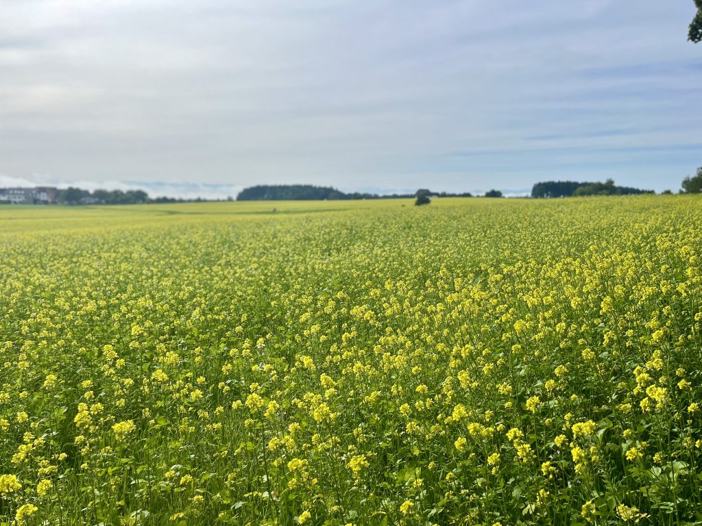 Ausblick Schmalegger Tobel