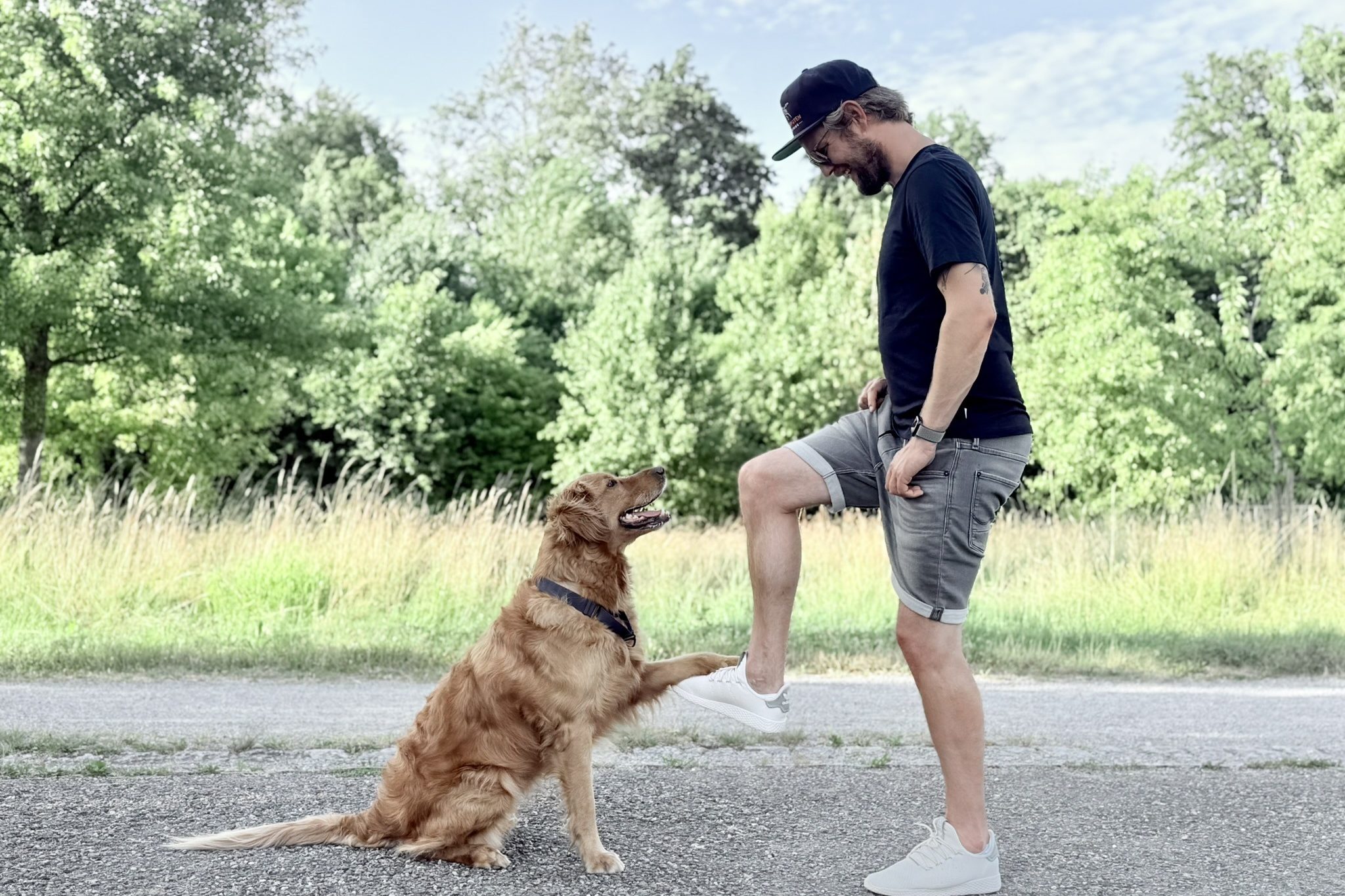 Hundeschule Schussenpfoten