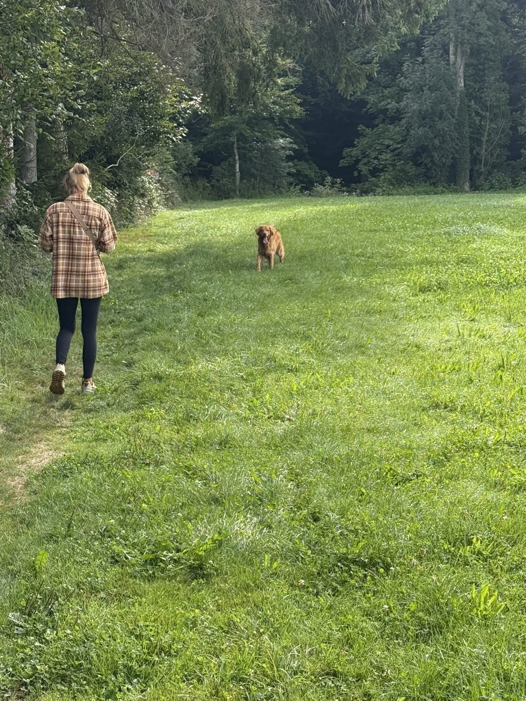 Hundeabenteuer Ravensburg