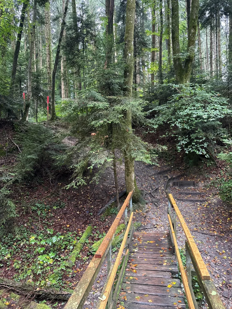 Holzbrücke Ravensburg