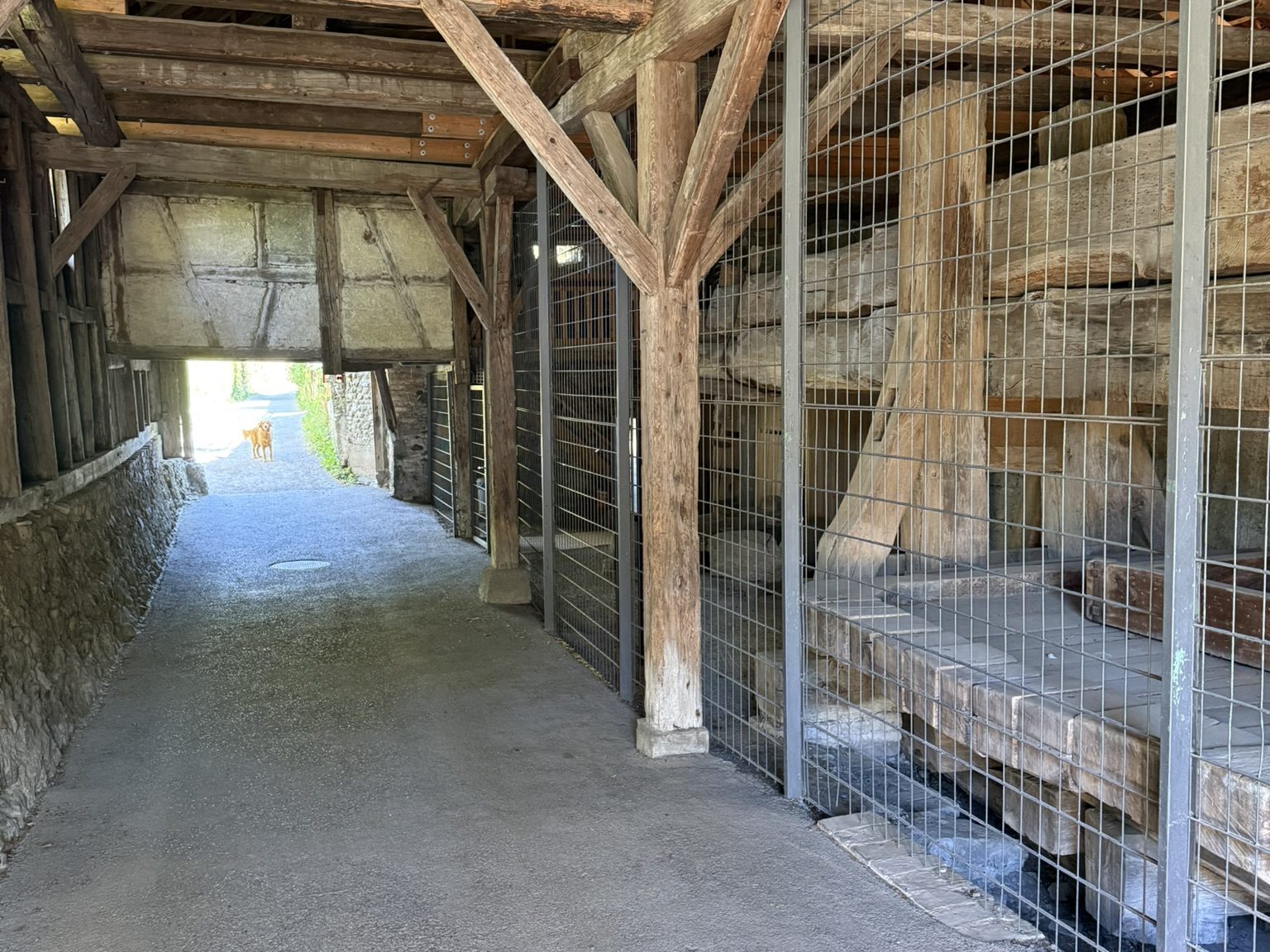 Burghaldentorkel Ravensburg